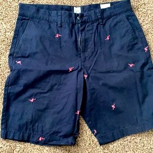 Gap size 30 doflamingo shorts